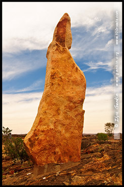 Томасина (Thomasina), Living Desert - Sculpture Symposium, Брокен Хилл, Broken Hill, Новый Южный Уэльс, New South Wales, NSW, Австралия, Australia