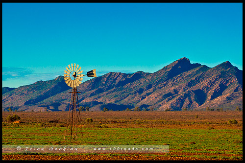 Национальный Парк Хребета Флиндес, Flinders Ranges NP, Северная цепь гор Флиндерс, Northern Flinders Ranges, Южная Австралия, South Australia, Австралия, Australia