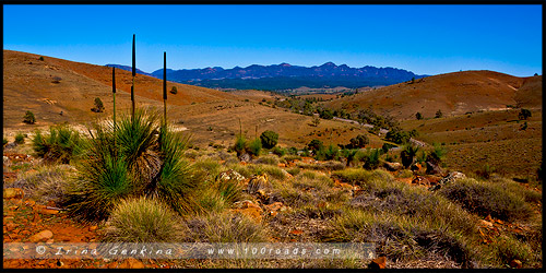 Национальный Парк Хребета Флиндес, Flinders Ranges NP, Северная цепь гор Флиндерс, Northern Flinders Ranges, Южная Австралия, South Australia, Австралия, Australia