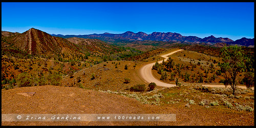 Национальный Парк Хребета Флиндес, Flinders Ranges NP, Северная цепь гор Флиндерс, Northern Flinders Ranges, Южная Австралия, South Australia, Австралия, Australia