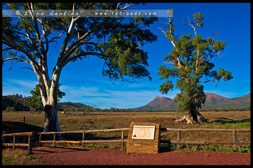 Национальный Парк Хребета Флиндес, Flinders Ranges NP, Северная цепь гор Флиндерс, Northern Flinders Ranges, Южная Австралия, South Australia, Австралия, Australia