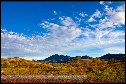 Национальный Парк Хребета Флиндес, Flinders Ranges NP, Северная цепь гор Флиндерс, Northern Flinders Ranges, Южная Австралия, South Australia, Австралия, Australia