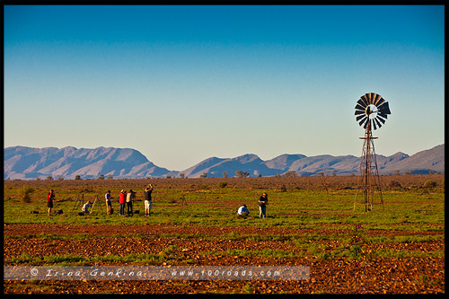 Национальный Парк Хребета Флиндес, Flinders Ranges NP, Северная цепь гор Флиндерс, Northern Flinders Ranges, Южная Австралия, South Australia, Австралия, Australia