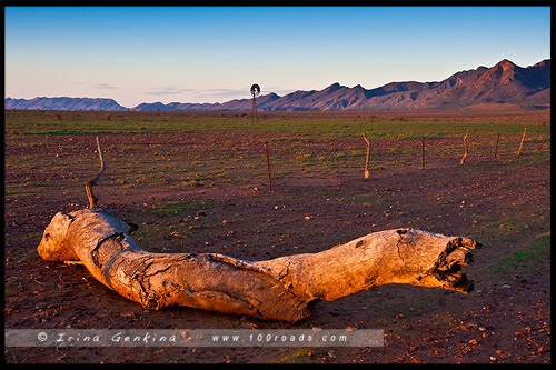 Национальный Парк Хребета Флиндес, Flinders Ranges NP, Северная цепь гор Флиндерс, Northern Flinders Ranges, Южная Австралия, South Australia, Австралия, Australia