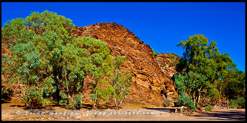 Национальный Парк Хребета Флиндес, Flinders Ranges NP, Северная цепь гор Флиндерс, Northern Flinders Ranges, Южная Австралия, South Australia, Австралия, Australia