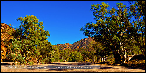 Национальный Парк Хребета Флиндес, Flinders Ranges NP, Северная цепь гор Флиндерс, Northern Flinders Ranges, Южная Австралия, South Australia, Австралия, Australia