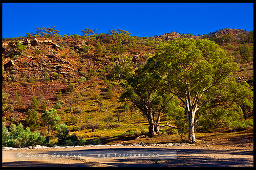 Национальный Парк Хребета Флиндес, Flinders Ranges NP, Северная цепь гор Флиндерс, Northern Flinders Ranges, Южная Австралия, South Australia, Австралия, Australia