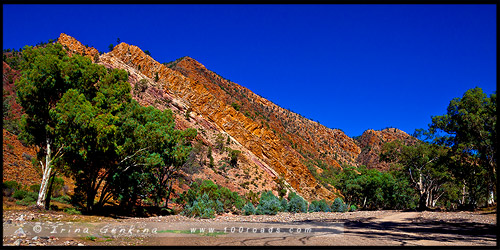 Национальный Парк Хребета Флиндес, Flinders Ranges NP, Северная цепь гор Флиндерс, Northern Flinders Ranges, Южная Австралия, South Australia, Австралия, Australia