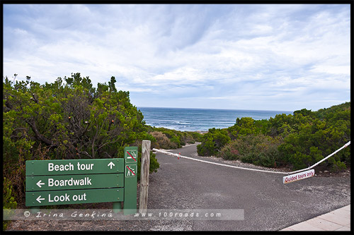 Бухта Тюленей, Seal Bay, Остров Кенгуру, Kangaroo Island, Южная Австралия, South Australia, Австралия, Australia