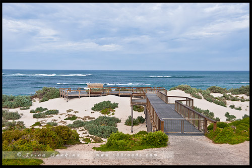 Бухта Тюленей, Seal Bay, Остров Кенгуру, Kangaroo Island, Южная Австралия, South Australia, Австралия, Australia