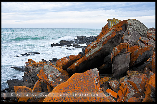 Бухта Рождества, Christmas Cove, Остров Кенгуру, Kangaroo Island, Южная Австралия, South Australia, Австралия, Australia