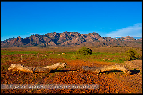 Merna Mora Station, Северная цепь гор Флиндерс, Northern Flinders Ranges, Южная Австралия, South Australia, Австралия, Australia