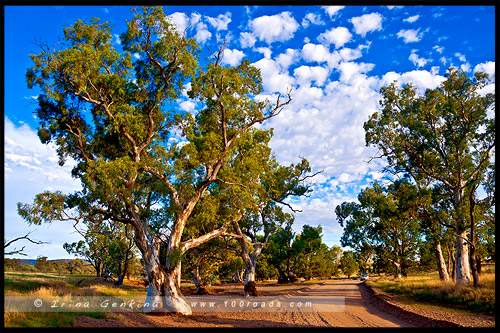 Южная Австралия, South Australia, Австралия, Australia