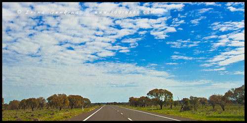 Трасса Стюрт, Sturt Highway, Новый Южный Уэльс, NSW, Австралия, Australia