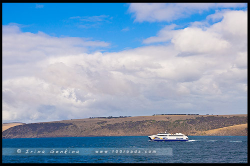 Паром Sealink, Остров Кенгуру, Kangaroo Island, Южная Австралия, South Australia, Австралия, Australia