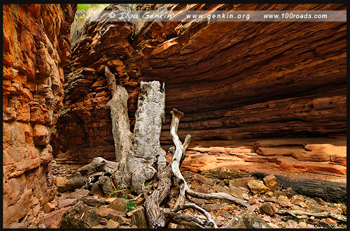 Узкое место, The Narrows, Ущелье Аллигатора, Alligator Gorge, Маунт Ремаркабл, Mt Remarkable, Южная Australia, South Australia, Австралия, Australia