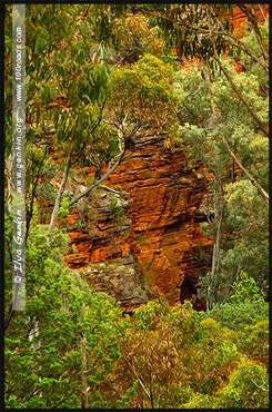 Вид с Gorge lookout, Ущелье Аллигатора, Alligator Gorge, Маунт Ремаркабл, Mt Remarkable, Южная Australia, South Australia, Австралия, Australia