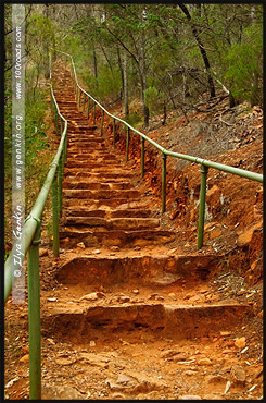 Ущелье Аллигатора, Alligator Gorge, Маунт Ремаркабл, Mt Remarkable, Южная Australia, South Australia, Австралия, Australia