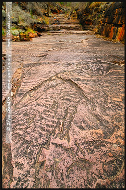 Следы ряби, Ripple Marks, Ущелье Аллигатора, Alligator Gorge, Маунт Ремаркабл, Mt Remarkable, Южная Australia, South Australia, Австралия, Australia