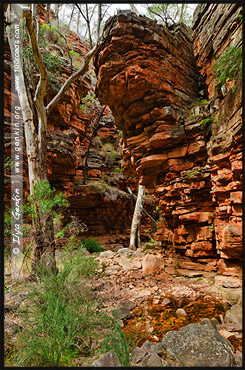 Ущелье Аллигатора, Alligator Gorge, Маунт Ремаркабл, Mt Remarkable, Южная Australia, South Australia, Австралия, Australia