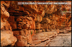 Стены Ущелья, Ущелье Аллигатора, Alligator Gorge, Маунт Ремаркабл, Mt Remarkable, Южная Australia, South Australia, Австралия, Australia