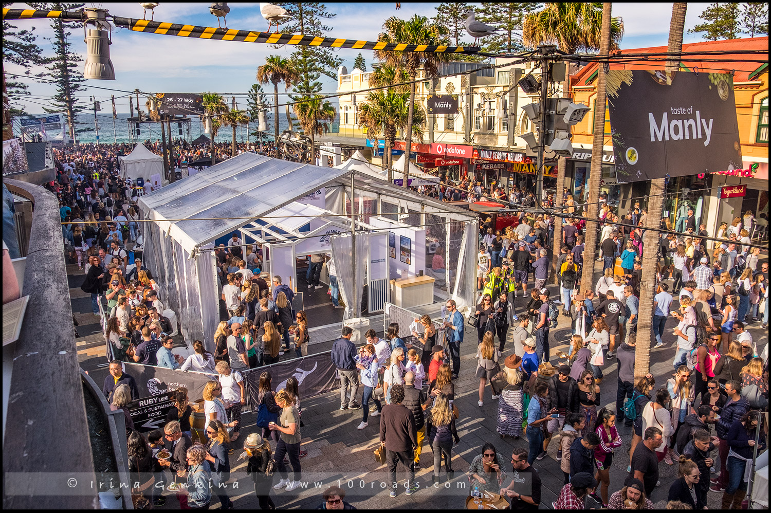 Manly Food And Wine Festival, Мэнли, Manly, Сидней, Sydney, Австралия, Australia