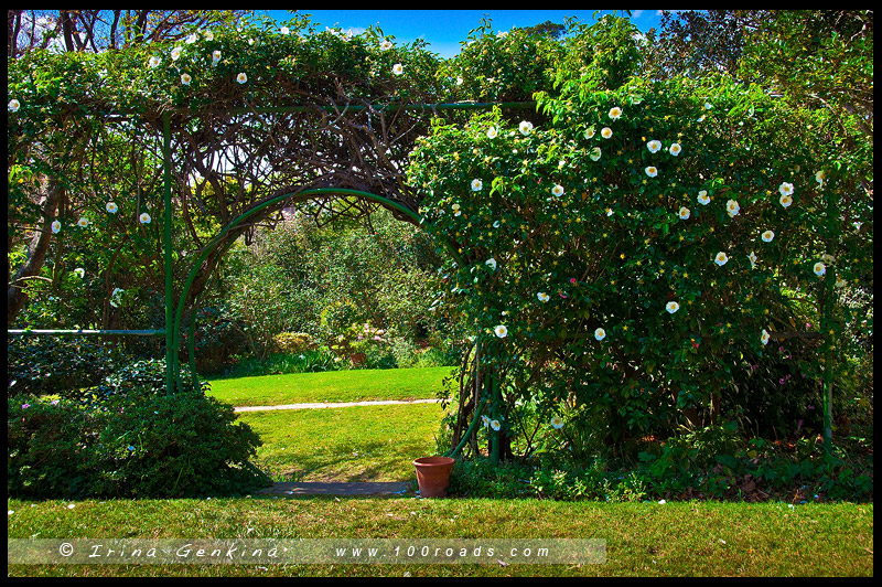 Дом Эрилдин, Eryldene Historic House, Сад, Garden, Гордон, Gordon, Сидней, Sydney, Австралия, Australia