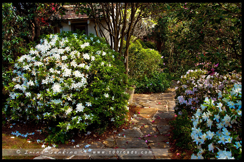 Дом Эрилдин, Eryldene Historic House, Сад, Garden, Гордон, Gordon, Сидней, Sydney, Австралия, Australia