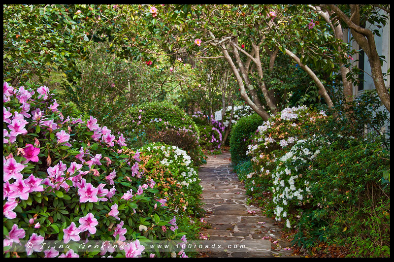 Дом Эрилдин, Eryldene Historic House, Сад, Garden, Гордон, Gordon, Сидней, Sydney, Австралия, Australia