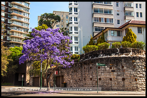 Кингс Кросс, Kings Cross, Сидней, Sydney, Австралия, Australia