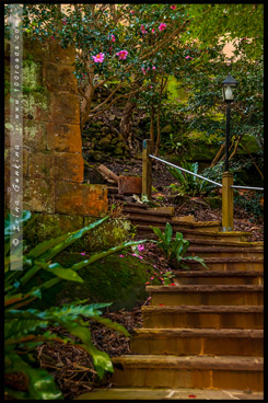 Сады Лисгар, Lisgar Gardens, Хорнсби, Hornsby, Сидней, Sydney, Австралия, Australia