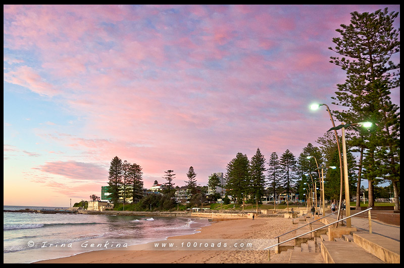 Пляж Ди Вай, Dee Why Beach, Северные пляжи, Northen Beaches, Сидней, Sydney, Новый Южный Уэльс, New South Wales, Австралия, Australia