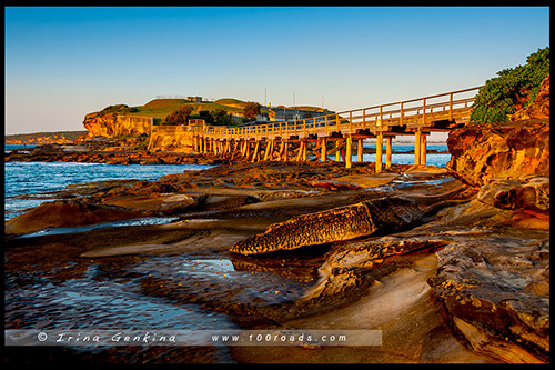 дайвинг, ныряние с трубкой и маской, snorkelling, Сидней, Sydney, Австралия, Australia