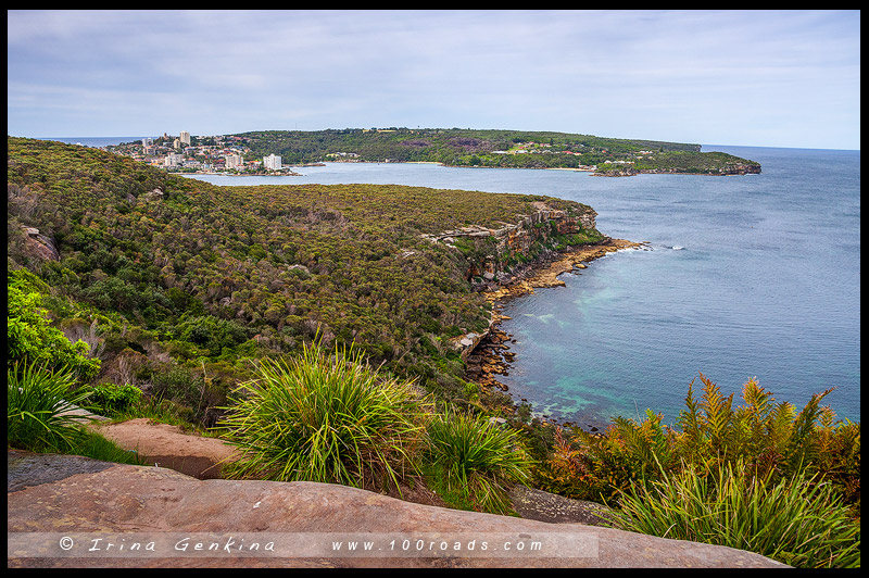 От Спит Бридж до Мэнли, Spit Bridge to Manly, Manly Scenic Walkway, MSW, Сидней, Sydney, Австралия, Australia