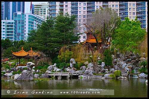 Китайский Сад Дружбы, Chinese Garden of Friendship, Сидней, Sydney, Новый Южный Уэльс, NSW, Австралия, Australia