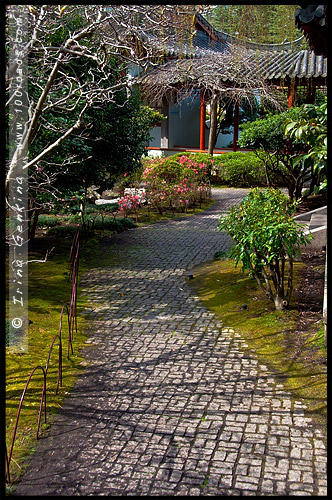 Китайский Сад Дружбы, Chinese Garden of Friendship, Сидней, Sydney, Новый Южный Уэльс, NSW, Австралия, Australia