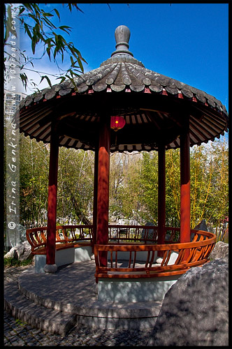 Китайский Сад Дружбы, Chinese Garden of Friendship, Сидней, Sydney, Новый Южный Уэльс, NSW, Австралия, Australia