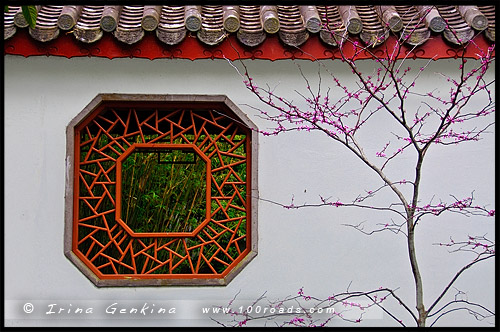 Китайский Сад Дружбы, Chinese Garden of Friendship, Сидней, Sydney, Новый Южный Уэльс, NSW, Австралия, Australia