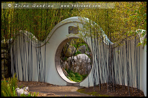 Китайский Сад Дружбы, Chinese Garden of Friendship, Сидней, Sydney, Новый Южный Уэльс, NSW, Австралия, Australia