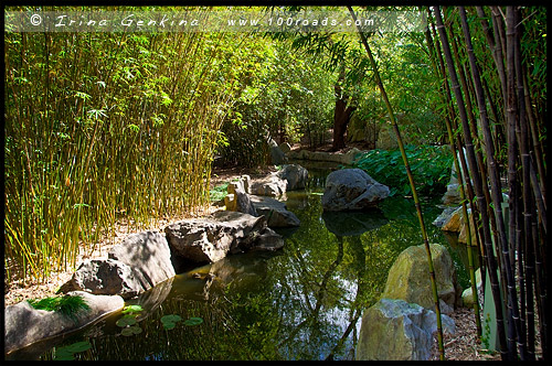 Китайский Сад Дружбы, Chinese Garden of Friendship, Сидней, Sydney, Новый Южный Уэльс, NSW, Австралия, Australia