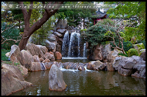 Китайский Сад Дружбы, Chinese Garden of Friendship, Сидней, Sydney, Новый Южный Уэльс, NSW, Австралия, Australia