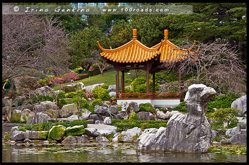 Китайский Сад Дружбы, Chinese Garden of Friendship, Сидней, Sydney, Новый Южный Уэльс, NSW, Австралия, Australia