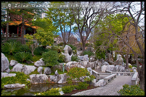 Китайский Сад Дружбы, Chinese Garden of Friendship, Сидней, Sydney, Новый Южный Уэльс, NSW, Австралия, Australia