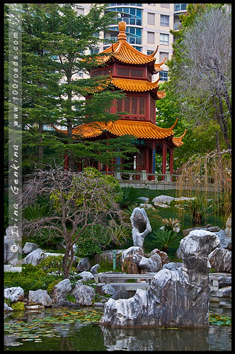 Китайский Сад Дружбы, Chinese Garden of Friendship, Сидней, Sydney, Новый Южный Уэльс, NSW, Австралия, Australia