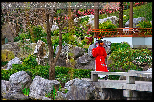 Китайский Сад Дружбы, Chinese Garden of Friendship, Сидней, Sydney, Новый Южный Уэльс, NSW, Австралия, Australia