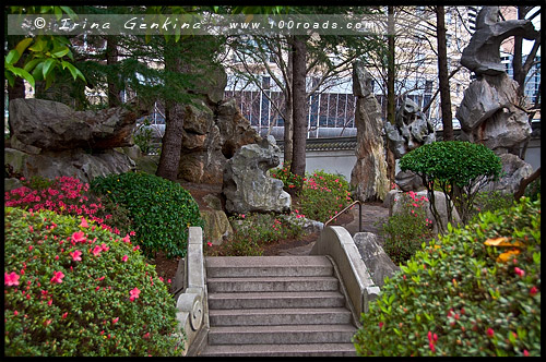 Китайский Сад Дружбы, Chinese Garden of Friendship, Сидней, Sydney, Новый Южный Уэльс, NSW, Австралия, Australia