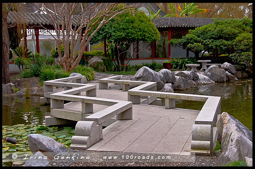 Китайский Сад Дружбы, Chinese Garden of Friendship, Сидней, Sydney, Новый Южный Уэльс, NSW, Австралия, Australia