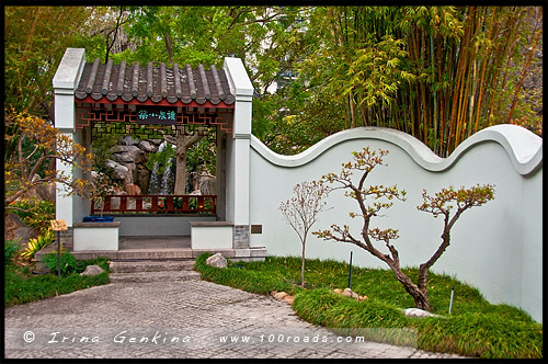 Китайский Сад Дружбы, Chinese Garden of Friendship, Сидней, Sydney, Новый Южный Уэльс, NSW, Австралия, Australia
