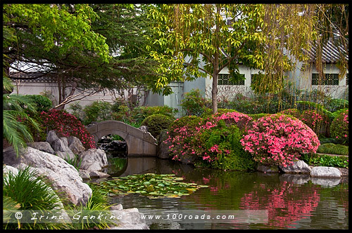 Китайский Сад Дружбы, Chinese Garden of Friendship, Сидней, Sydney, Новый Южный Уэльс, NSW, Австралия, Australia