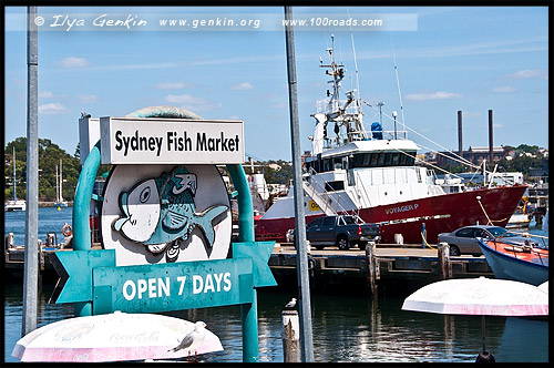 Сиднейский Рыбный Рынок, Sydney Fish Market, Пирмонт, Pyrmont, Сидней, Sydney, Австралия, Australia